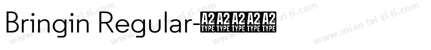 Bringin Regular字体转换